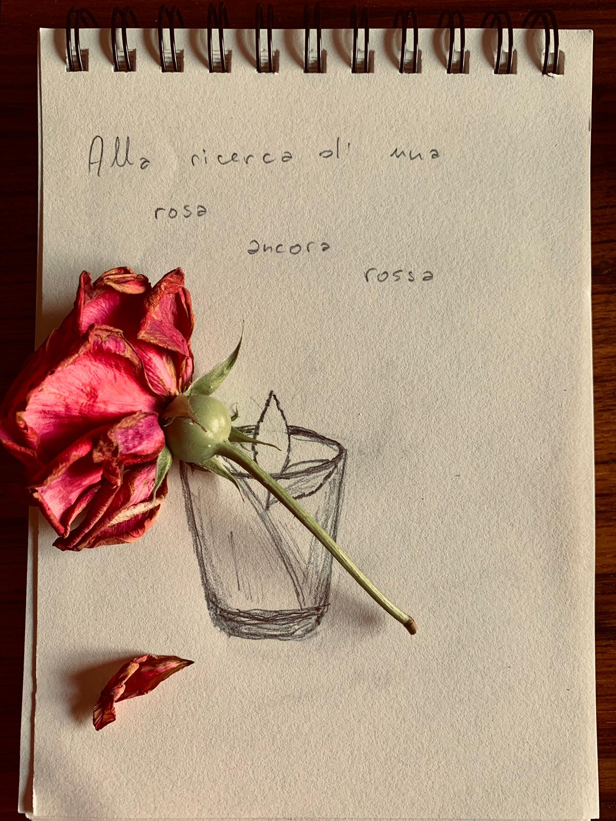 Loncandina vergine.jpeg